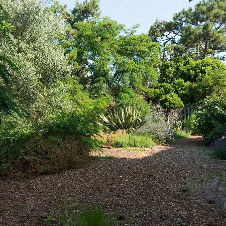 Le Lodge Du Cap Ferret Lege-Cap-Ferret Ngoại thất bức ảnh