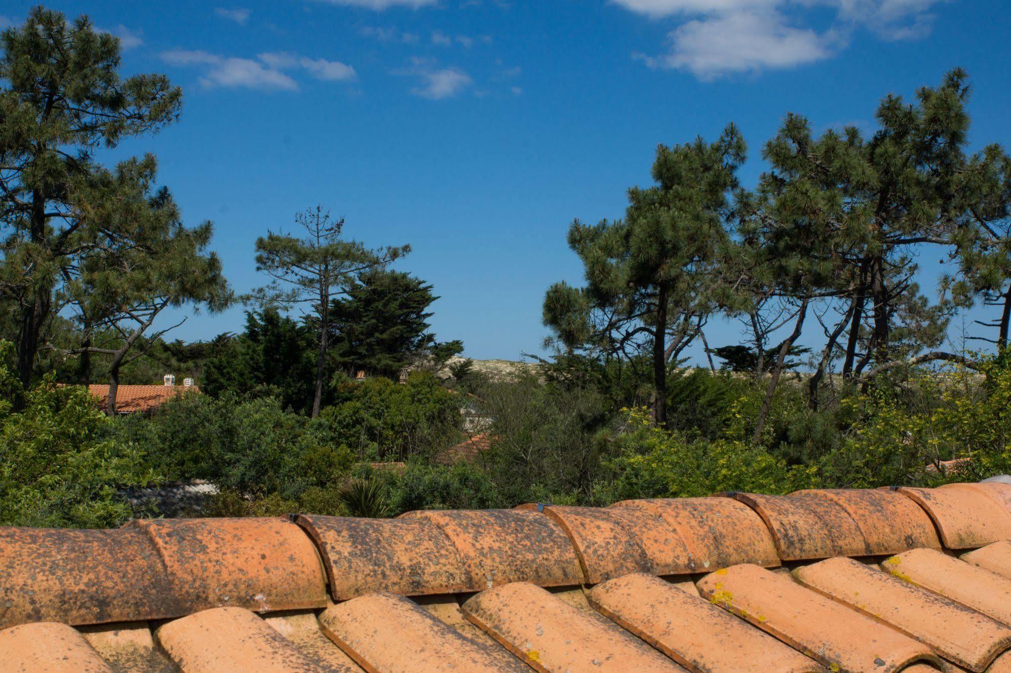 Le Lodge Du Cap Ferret Lege-Cap-Ferret Ngoại thất bức ảnh